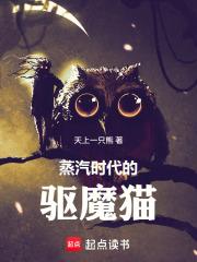 蒸汽时代的魔法师