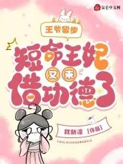 王妃又去打劫了