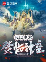 我以奥术登临神座顶点