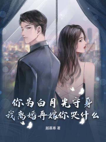 我离婚再嫁你哭什么txt