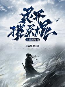 灵界的事情