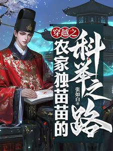 穿越之农家独苗苗的科举之路txt