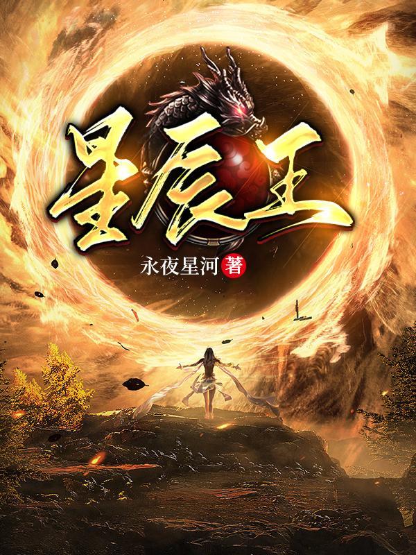 踏天境永夜星河作者
