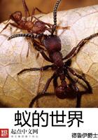 蚂蚁世界的蚂蚁怎么样