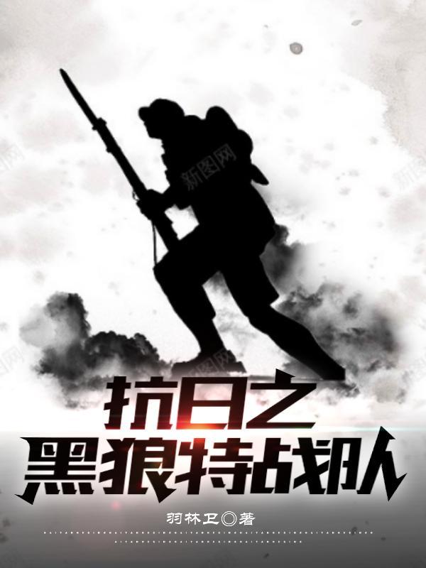 抗日之黑狼特战队免费观看电视剧