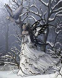 博爱的雪儿全文阅读